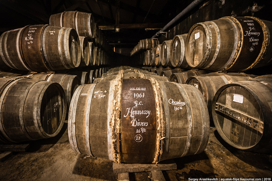 Коньячный рай Hennessy Коньячный рай Hennessy
