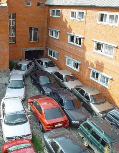 Прикольные картинки (75 фото)