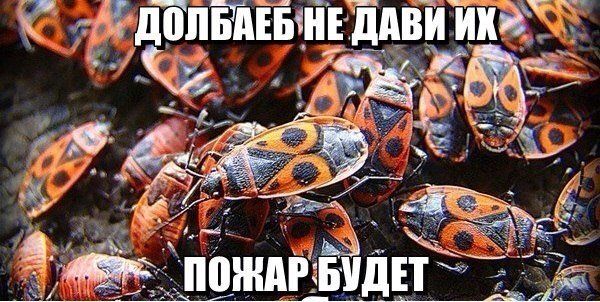 Прикольные картинки (75 фото)