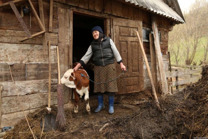 Джамана - румынская деревня, затопленная ядовитыми отходами Джамана - румынская деревня, затопленная ядовитыми отходами