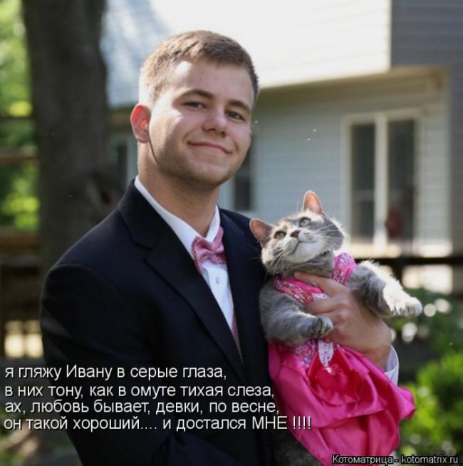 Лучшие котоматрицы недели