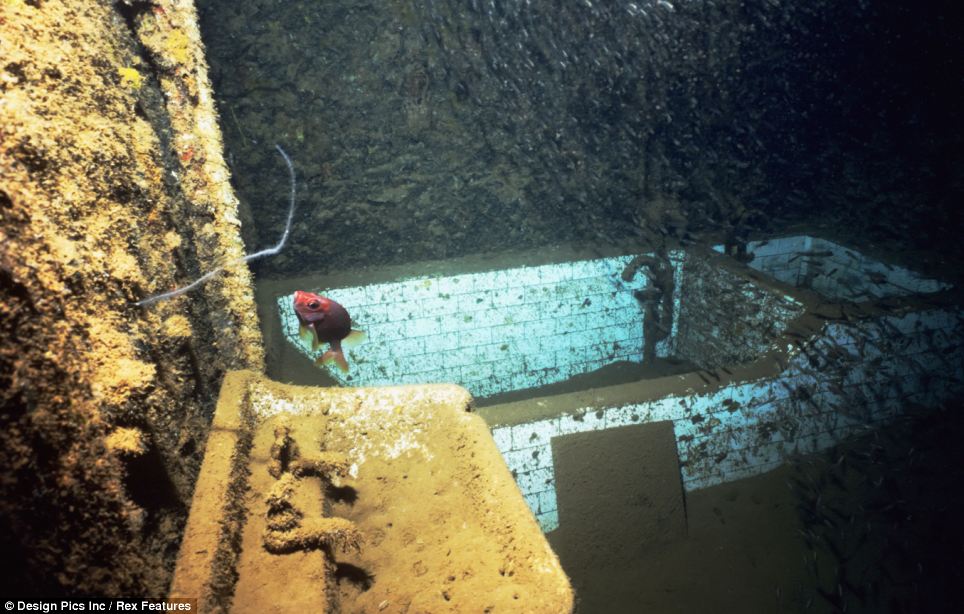 Подводное кладбище кораблей Подводное кладбище кораблей