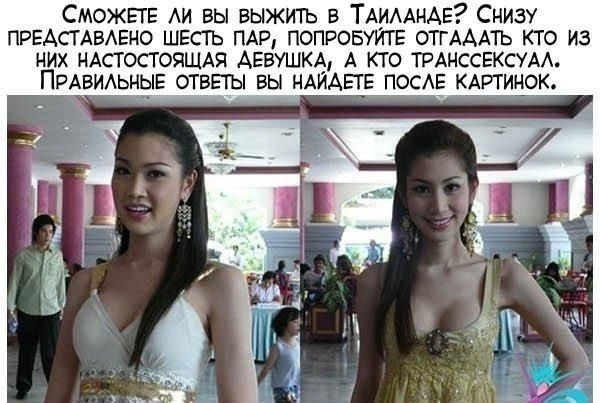 Найди транссексуала