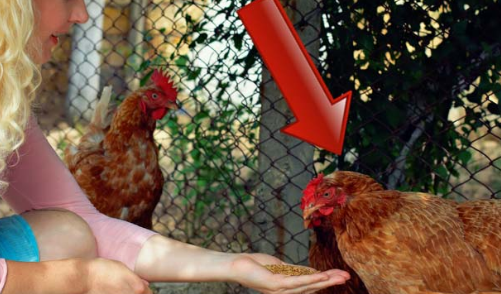 Чего мы не знали о распространенных продуктах Чего мы не знали о распространенных продуктах