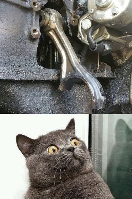 Автомобильный юмор