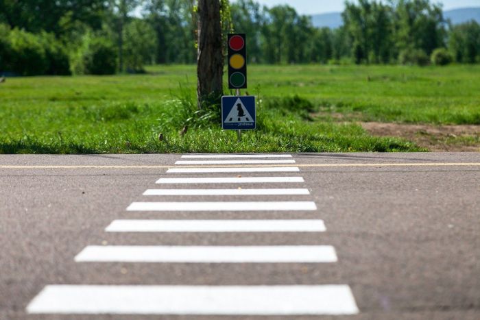 В Красноярске появился пешеходный переход для сусликов