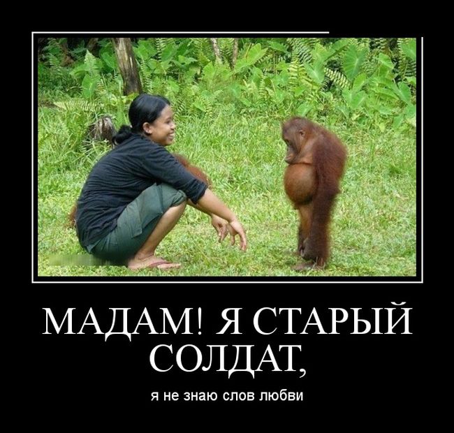 Демотиваторы