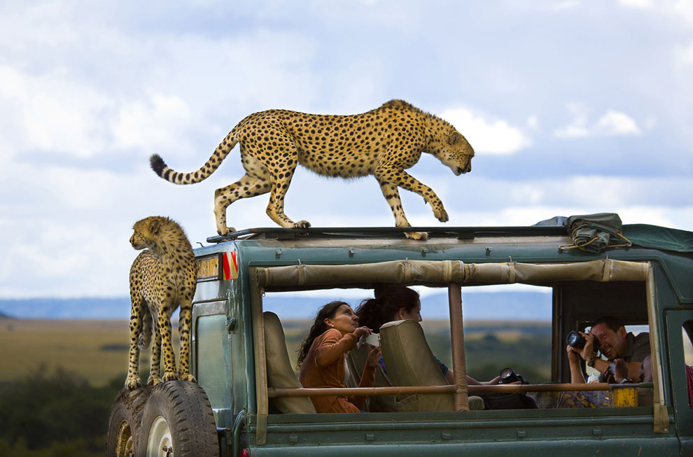 Победители конкурса National Geographic Traveler 2013 Победители конкурса National Geographic Traveler 2013