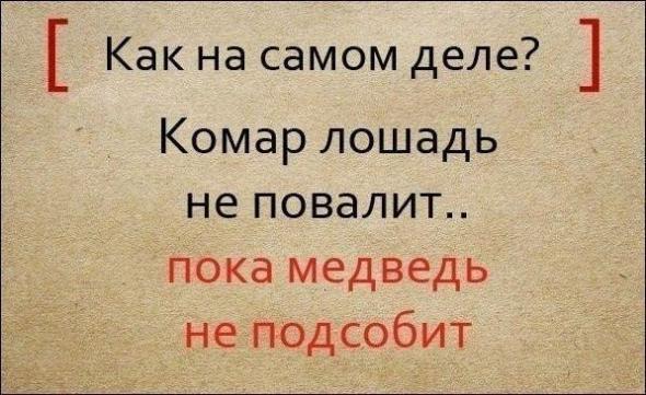 Полные варианты известных поговорок Полные варианты известных поговорок