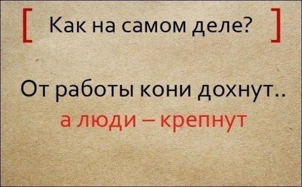 Полные варианты известных поговорок Полные варианты известных поговорок