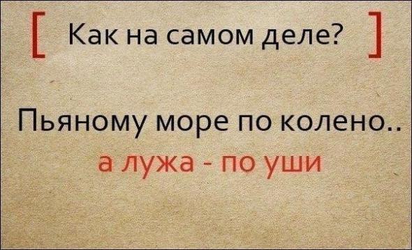 Полные варианты известных поговорок Полные варианты известных поговорок