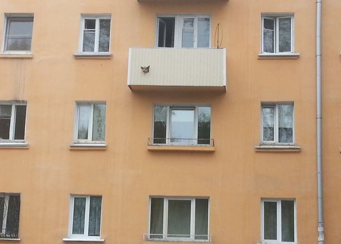 Порция картинок