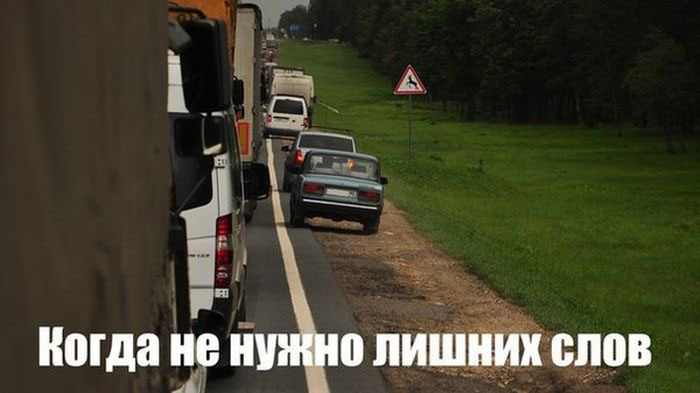 Порция картинок