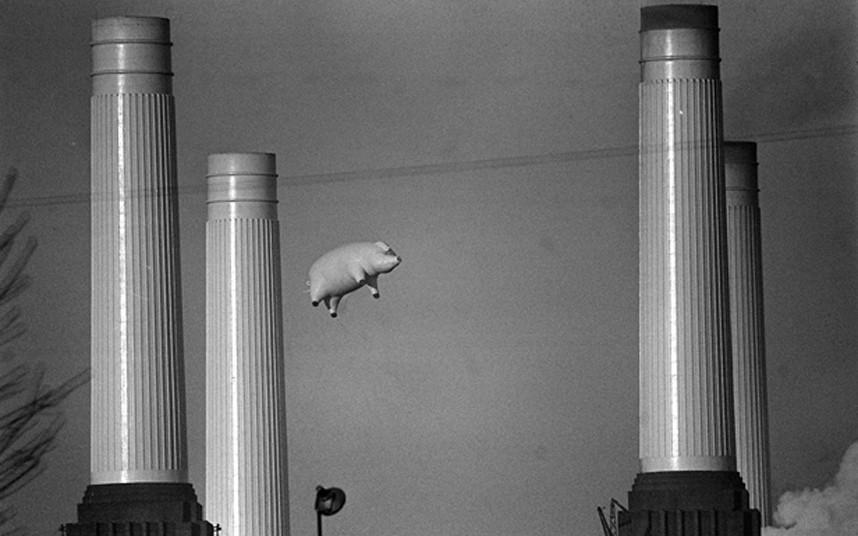 Pink Floyd в фотографиях Pink Floyd в фотографиях