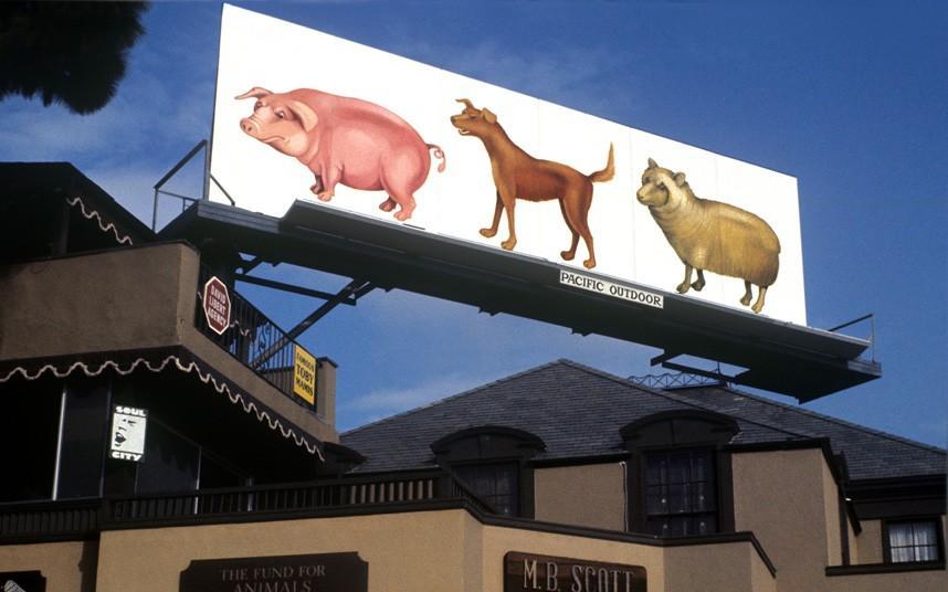 Pink Floyd в фотографиях Pink Floyd в фотографиях
