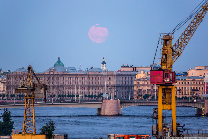 Лунное затмение в Санкт-Петербурге Лунное затмение в Санкт-Петербурге