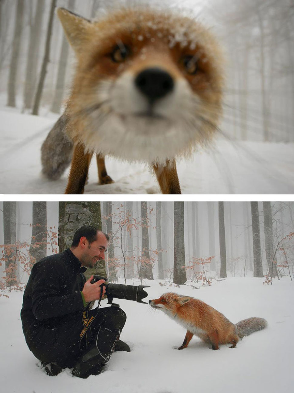 За кадром самых красивых фотографий