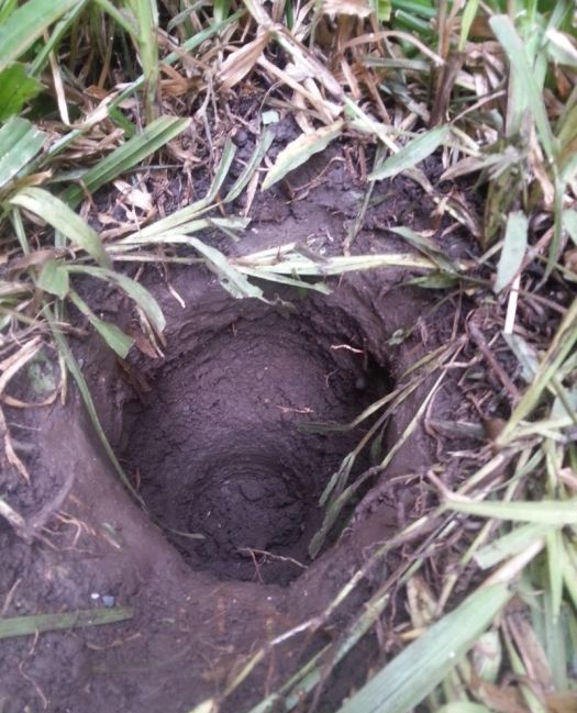 Банка с заклятием во дворе дома