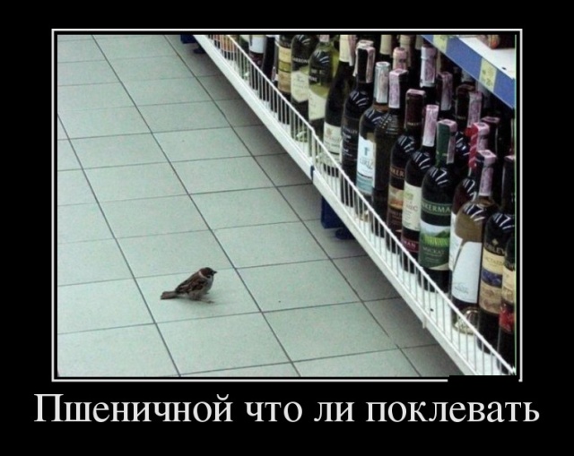 Демотиваторы