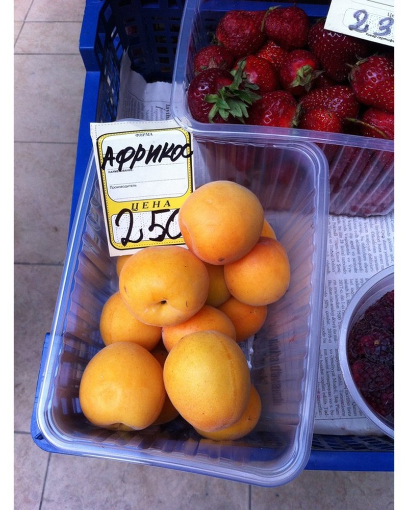 Мичуринские полигоны по созданию новых продуктов