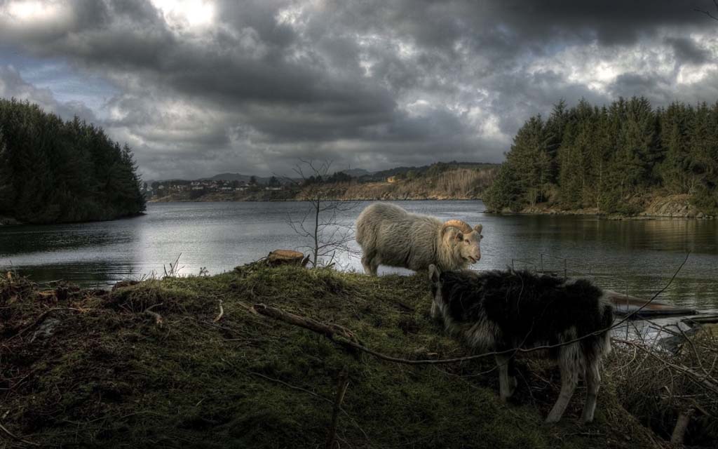 Фотоарт Гирса Аксельсена