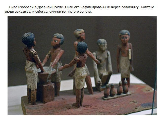 Самые интересные факты о пиве