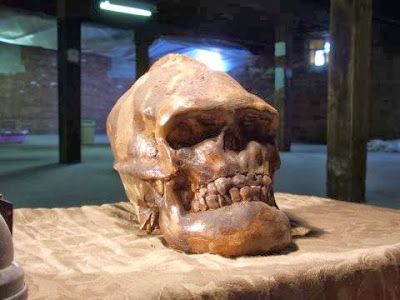 Необъяснимые тайны нашей планеты Необъяснимые тайны нашей планеты
