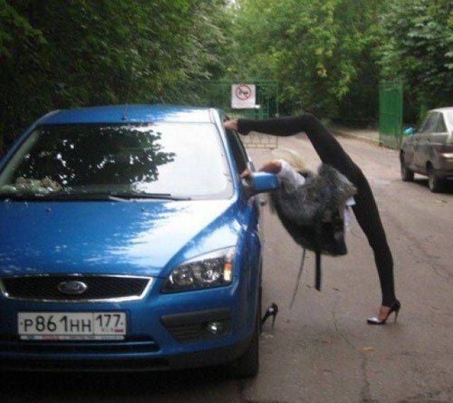 Прикольные картинки
