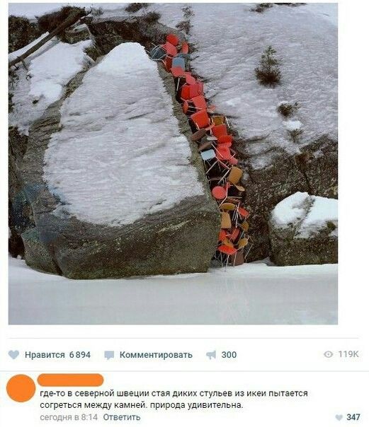 Прикольные картинки