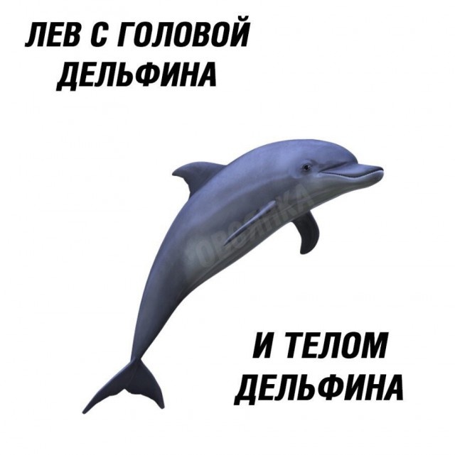 Забавные картинки без смысловой нагрузки