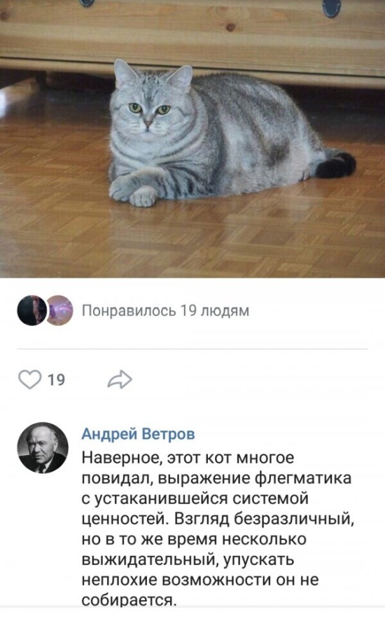 Забавные картинки без смысловой нагрузки