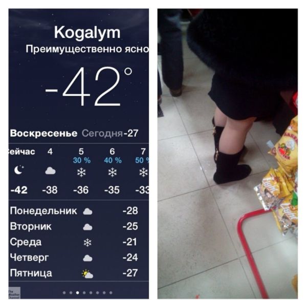 Порция картинок