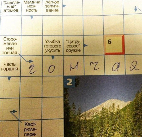 Порция картинок