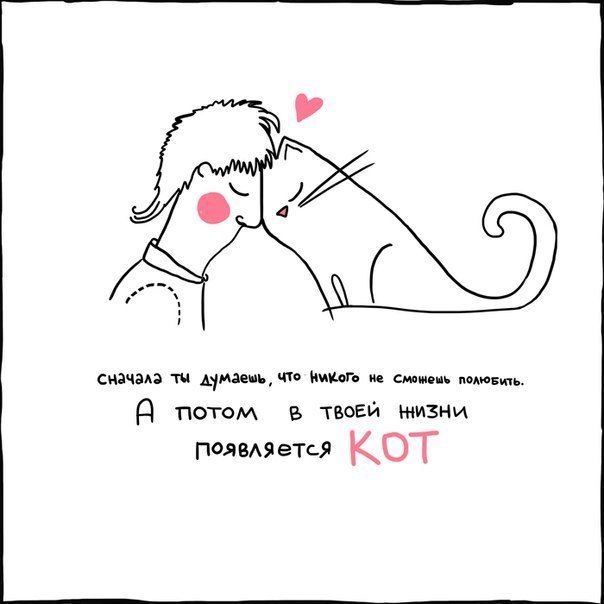 Порция картинок