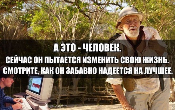 Порция картинок