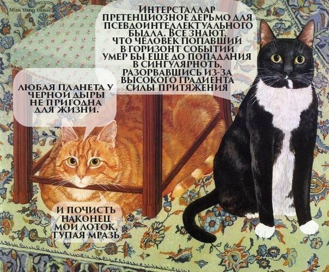 Порция картинок