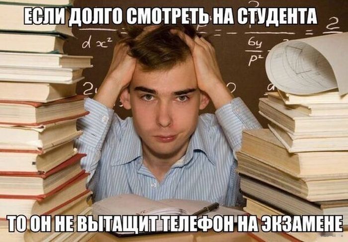 Порция картинок