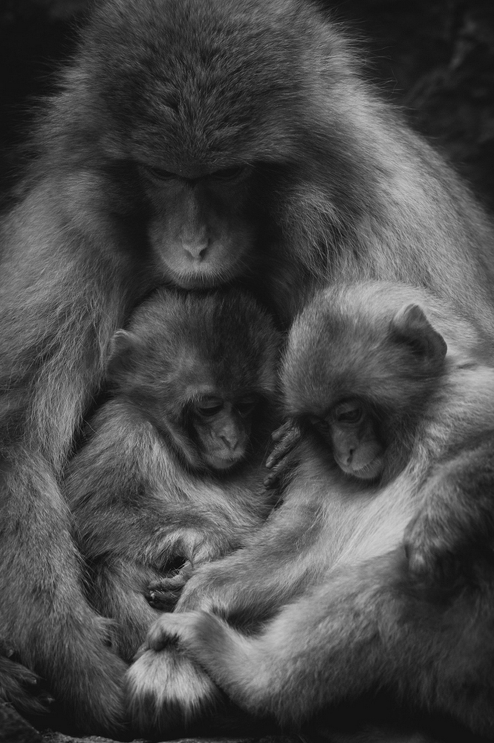 Фотоконкурс Sony World Photography Awards
