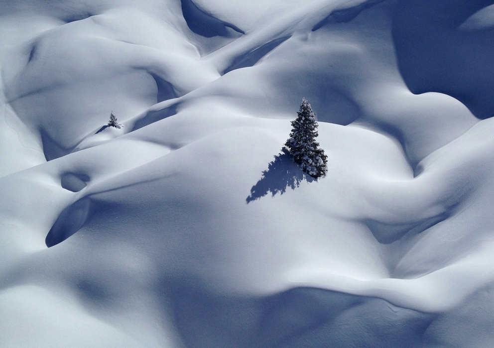 Фотоконкурс Sony World Photography Awards