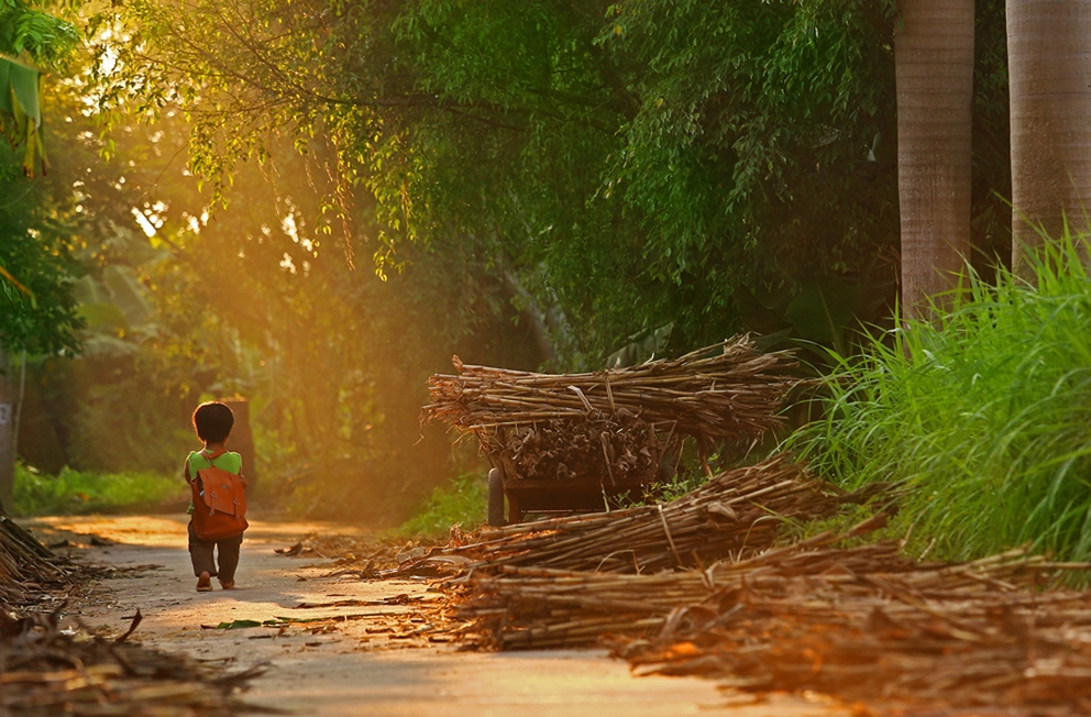 Фотоконкурс Sony World Photography Awards