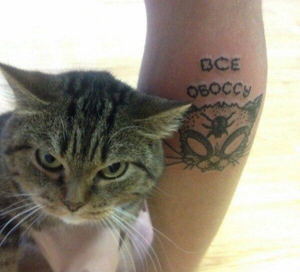 Вестник социальных сетей