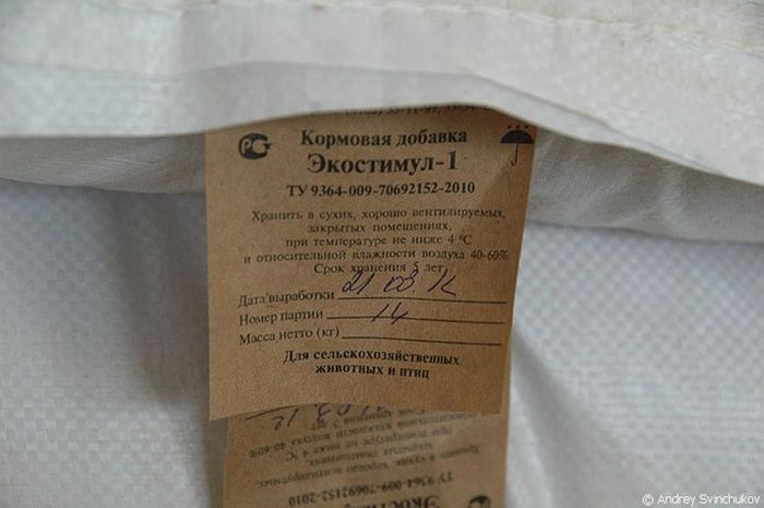 Как изготавливают БАДы в Благовещенске