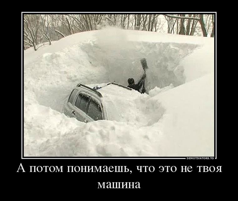 Прикольные картинки (62 фото)
