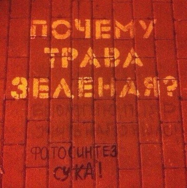 Порция картинок