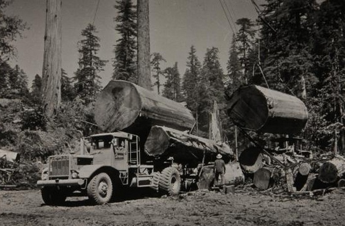 Исторические фотографии, разрушающие стереотипы о размерах привычных вещей Исторические фотографии, разрушающие стереотипы о размерах привычных вещей