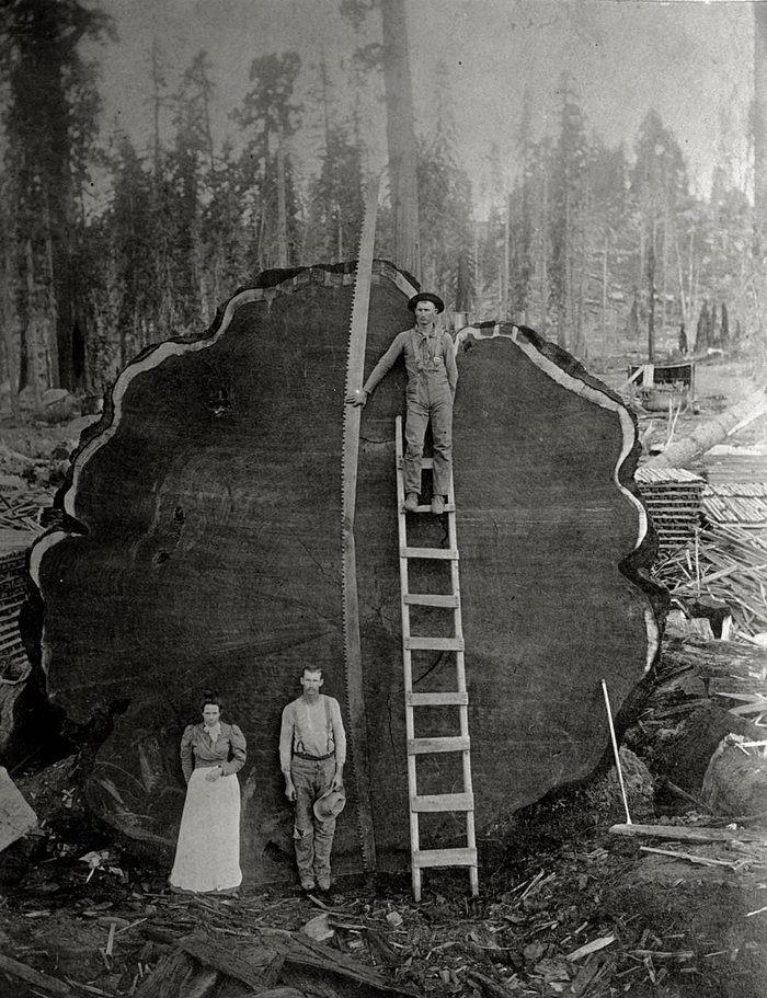 Исторические фотографии, разрушающие стереотипы о размерах привычных вещей Исторические фотографии, разрушающие стереотипы о размерах привычных вещей