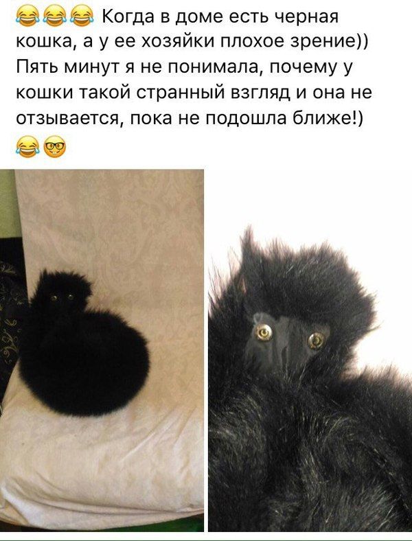 Юмор из соцсетей