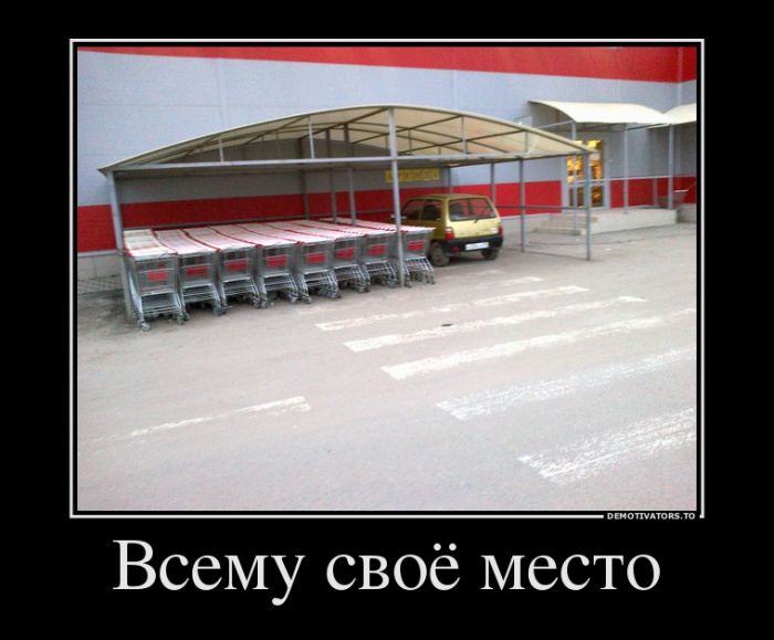 Демотиваторы