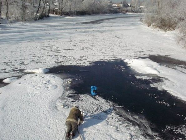 В Екатеринбурге спасли кота