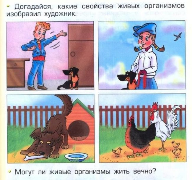 Идиотские учебники (25 фото) Идиотские учебники (25 фото)